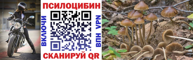 наркотики  блэк спрут как войти  Псилоцибиновые грибы Cubensis  Малгобек 