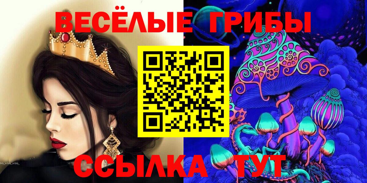 Псилоцибиновые грибы GOLDEN TEACHER  купить наркоту  Малгобек  Псилоцибиновые грибы Cubensis  Вход с VPN 